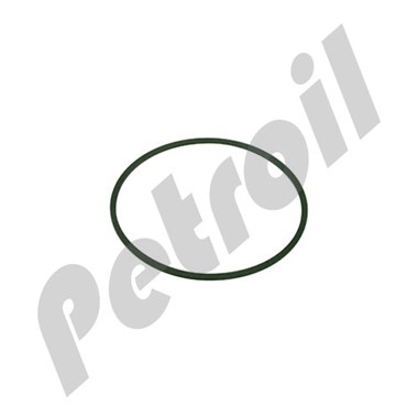 116024S 116024S Fleetguard Cummins Filtration O-RING PKG