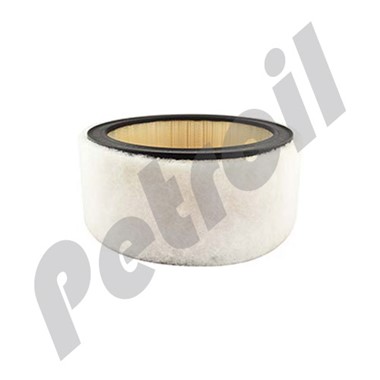 PA2148 Filtro Baldwin Automotriz Aire Panel P528228 AF4619 46134  AF3955