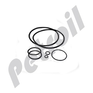 X011175 X011175 Donaldson Engine & Vehicle (USA) SEAL KIT